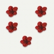 Fleurs sches Rouge