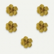 Fleurs sches Jaune