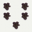 Fleurs séchées Violette