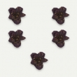 Fleurs sches Violette